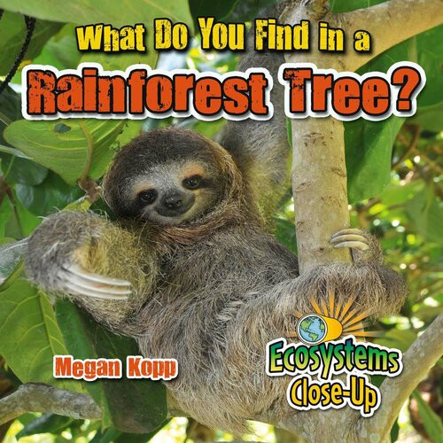 What Do You Find In A Rainforest Tree Readalong Ebook Megan Kopp