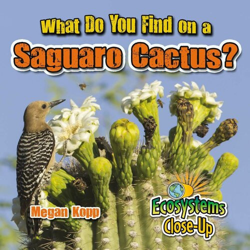 What Do You Find On A Saguaro Cactus Readalong Ebook Megan Kopp