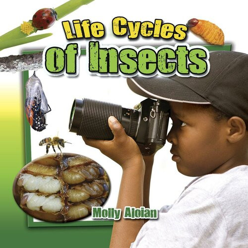 Life Cycles Of Insects Readalong Ebook Molly Aloian