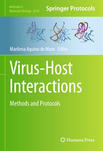Virushost Interactions Methods And Protocols Marilena Aquino De Muro