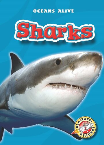 Sharks Readalong Ebook Colleen Sexton