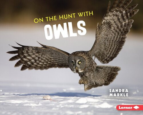 On The Hunt With Owls Sandra Markle