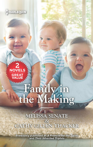 Family In The Making Melissa Senate Cathy Gillen Thacker