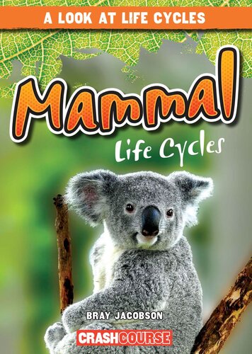 Mammal Life Cycles Readalong Ebook Bray Jacobson