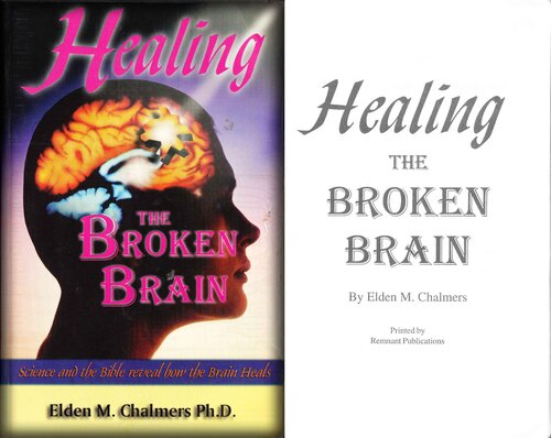 Healing The Broken Brain Elden M Chalmers