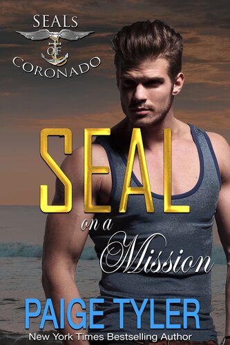 Seal On A Mission Paige Tyler