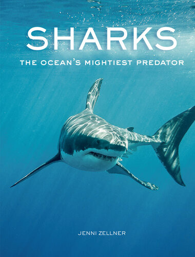Sharks The Oceans Mightiest Predator 1st Edition Jenni Zellner