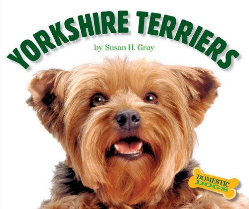Yorkshire Terriers Susan H Gray