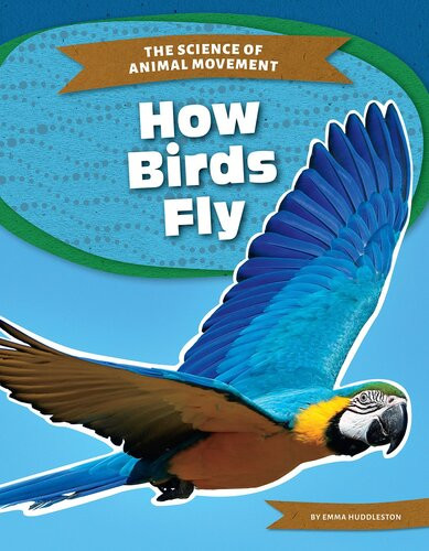 How Birds Fly Emma Huddleston
