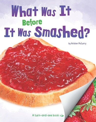 What Was It Before It Was Smashed Kristen Mccurry