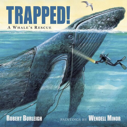 Trapped A Whales Rescue Readalong Ebook Robert Burleigh