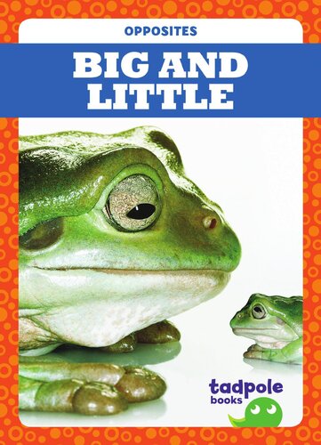Big And Little Readalong Ebook Erica Donner