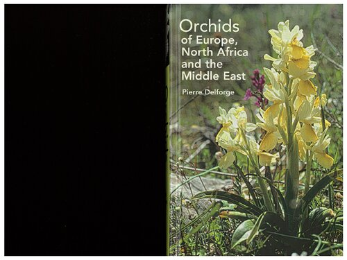 Orchids Of Europe North Africa And The Middle East 1st Edition Pierre Delforge
