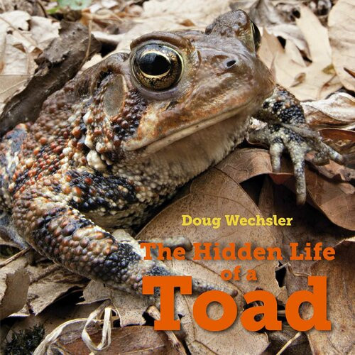 The Hidden Life Of A Toad Readalong Ebook Doug Wechsler