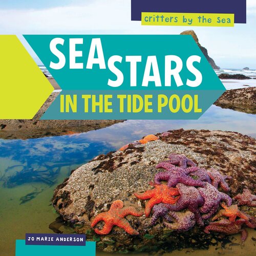 Sea Stars In The Tide Pool Jo Marie Anderson