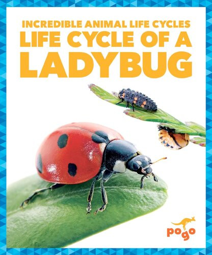 Life Cycle Of A Ladybug 1st Edition Karen Latchana Kenney