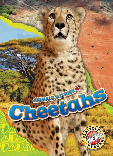 Cheetahs Rachel Grack