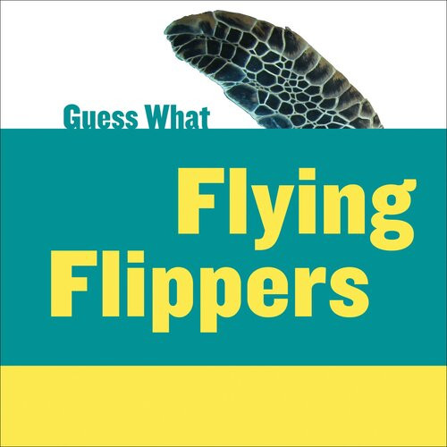 Flying Flippers 1st Edition Felicia Macheske
