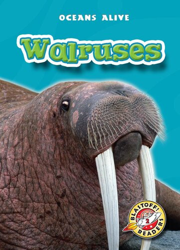 Walruses Readalong Ebook Colleen Sexton