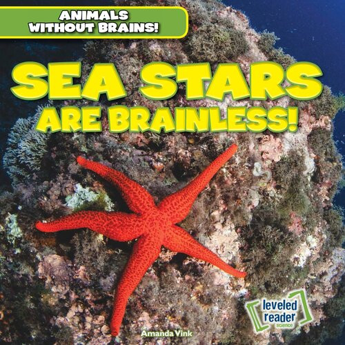 Sea Stars Are Brainless 1st Edition Amanda Vink