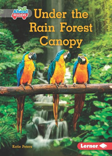 Under The Rain Forest Canopy 1st Edition Katie Peters
