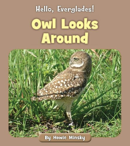 Owl Looks Around 1st Edition Howie Minsky