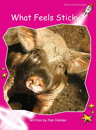 What Feels Sticky Readalong Ebook Pam Holden