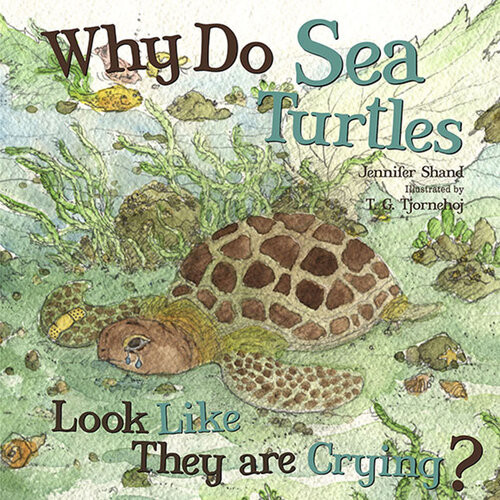 Why Do Sea Turtles Look Like They Are Crying Readalong Ebook Jennifer Shand