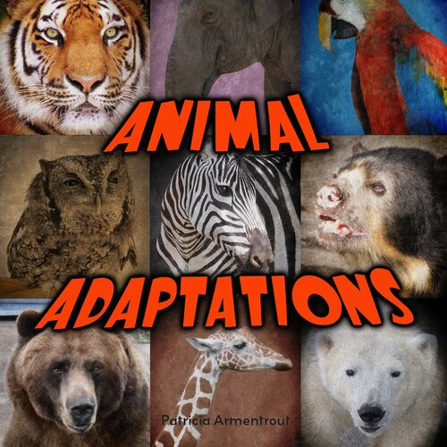 Animal Adaptations Readalong Ebook Patricia Armentrout
