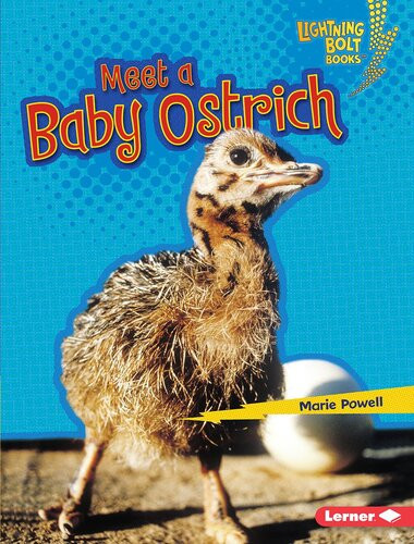 Meet A Baby Ostrich Readalong Ebook Marie Powell