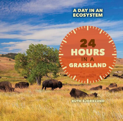 24 Hours In A Grassland Ruth Bjorklund