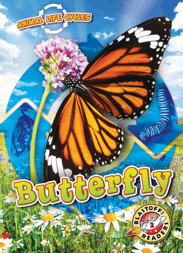 Animal Life Cycles Butterfly Rebecca Sabelko