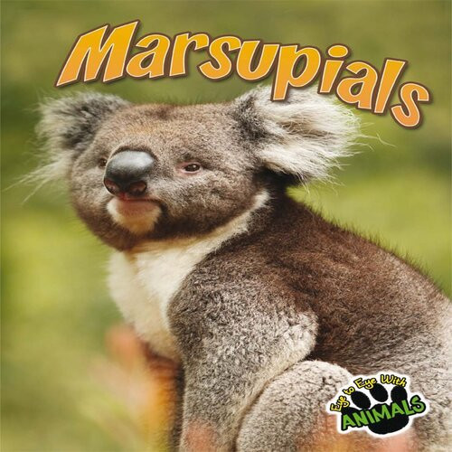 Marsupials Jeanne Sturm