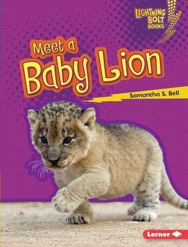 Meet A Baby Lion Readalong Ebook Samantha S Bell