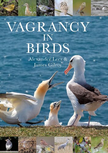 Vagrancy In Birds Alexander Lees James Gilroy