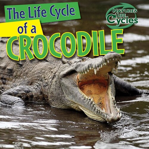 The Life Cycle Of A Crocodile Readalong Ebook Barbara M Linde