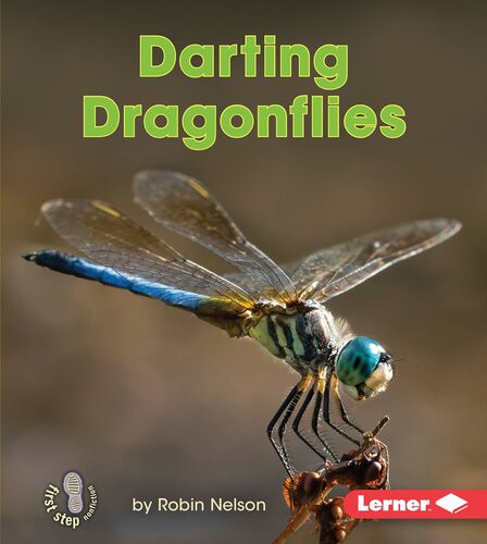 Darting Dragonflies Readalong Ebook Robin Nelson