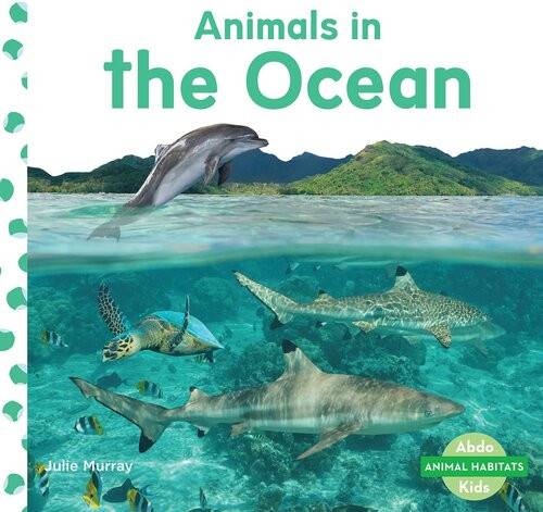 Animals In The Ocean Readalong Ebook Julie Murray