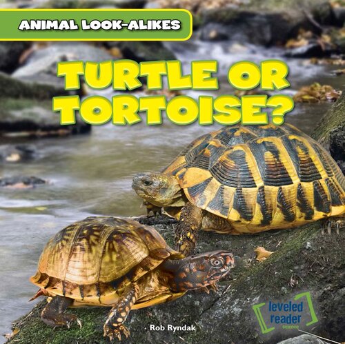 Turtle Or Tortoise Readalong Ebook Rob Ryndak