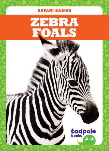 Zebra Foals Readalong Ebook Genevieve Nilsen