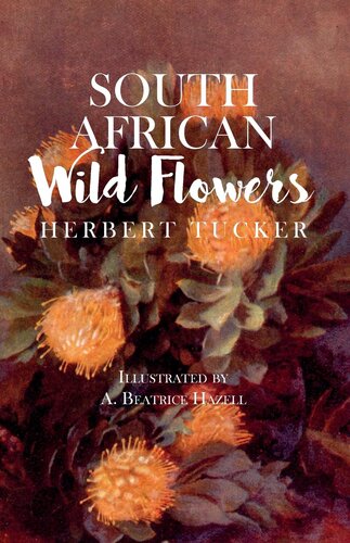 South African Wild Flowers Illustrated By A Beatrice Hazell Herbert Tucker