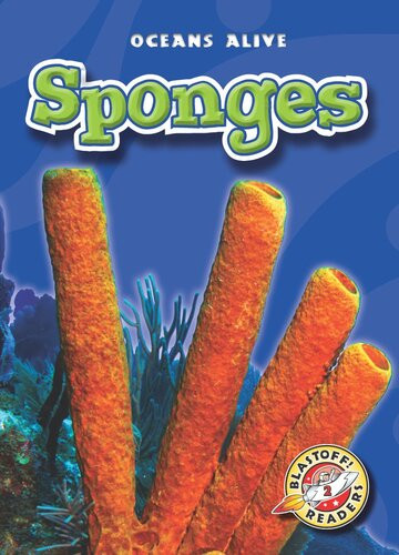 Sponges Readalong Ebook Colleen Sexton