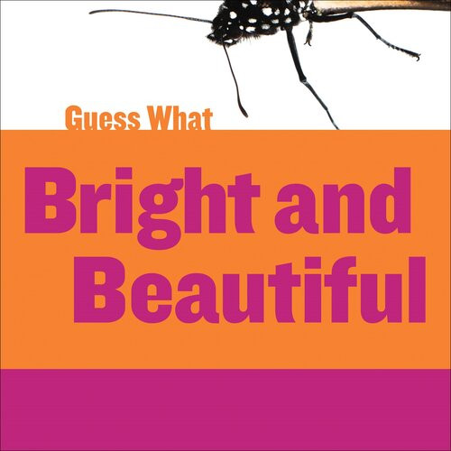 Bright And Beautiful Butterfly Readalong Ebook Felicia Macheske