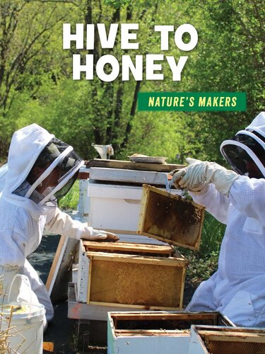 Hive To Honey Julie Knutson