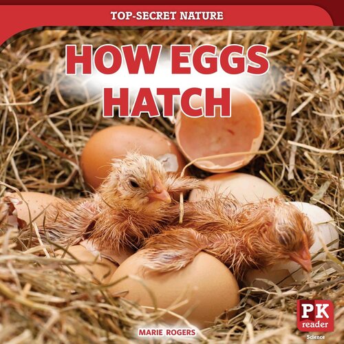 How Eggs Hatch Marie Rogers
