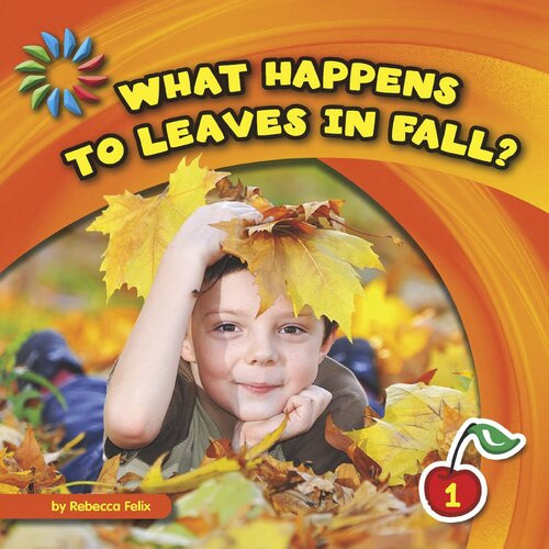 What Happens To Leaves In Fall Readalong Ebook Rebecca Felix