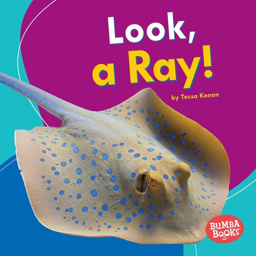 Look A Ray Readalong Ebook Tessa Kenan