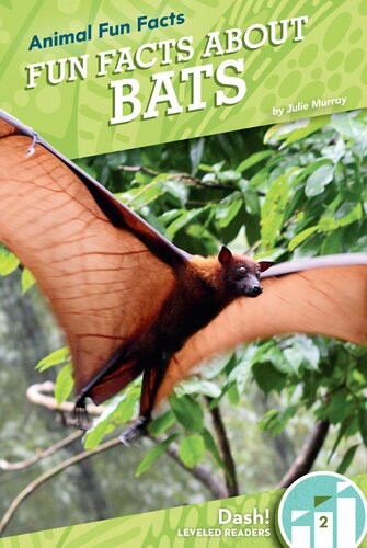 Fun Facts About Bats Readalong Ebook Julie Murray