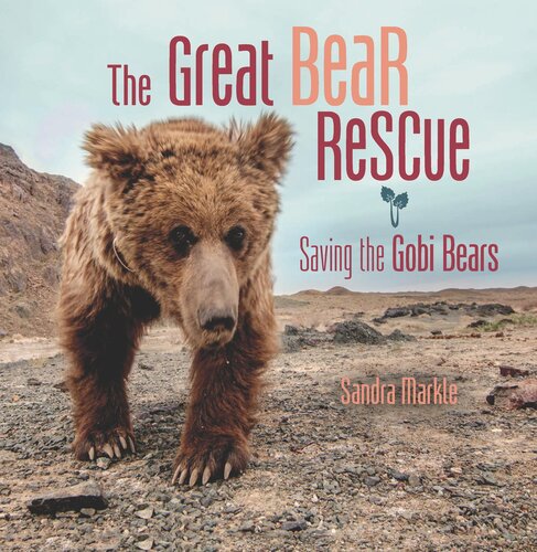 The Great Bear Rescue Saving The Gobi Bears Readalong Ebook Sandra Markle