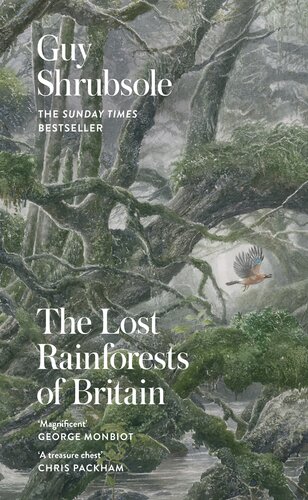 The Lost Rainforests Of Britain Guy Shrubsole